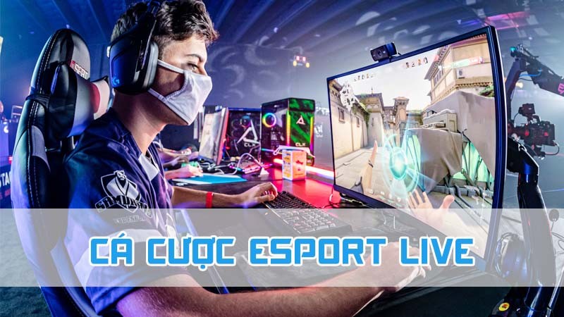 cá cược esport live đa dạng trò chơi