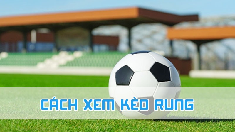 cách xem kèo rung trong cá cược 2024