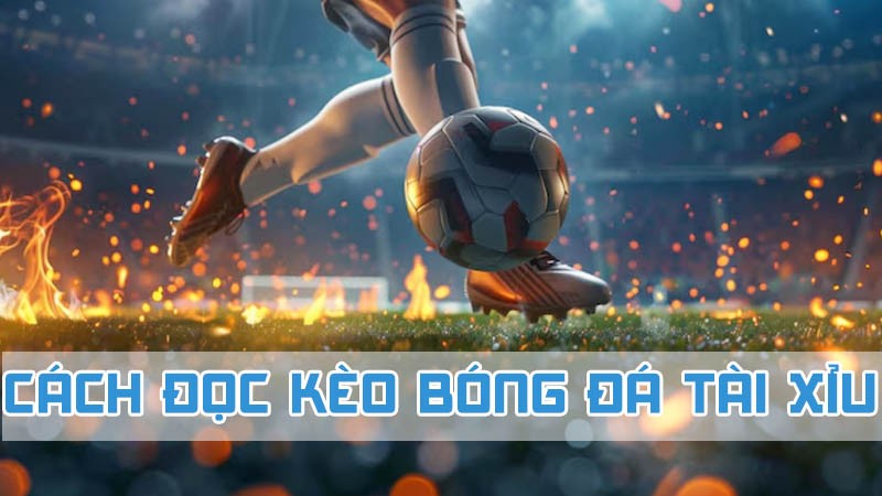 cách đọc kèo bóng đá tài xỉu 2024