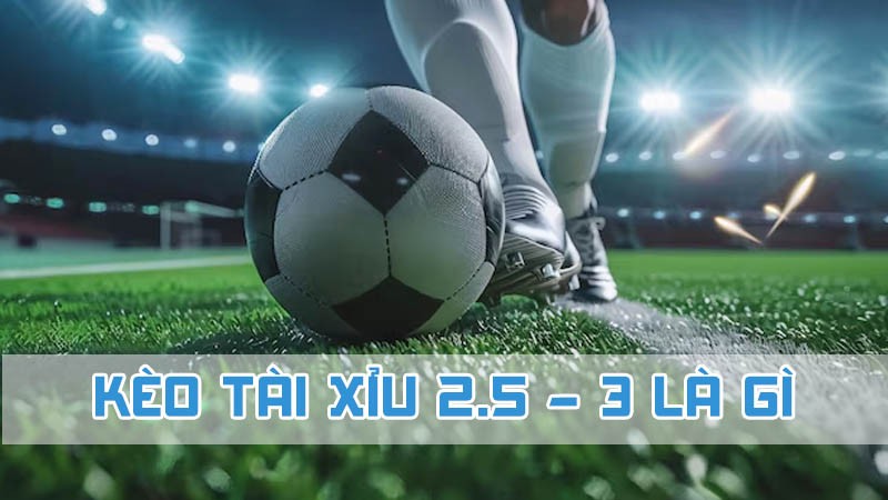 kèo tài xỉu 2.5-3 là gì 2024