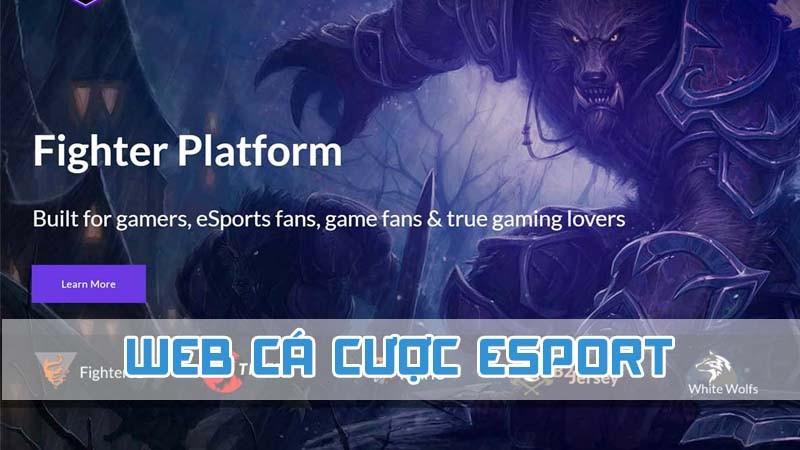 web cá cược esport 2024