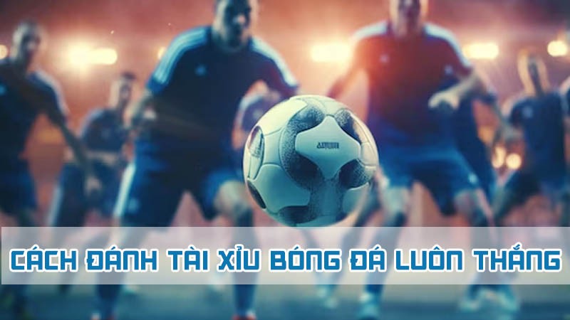 cách đánh tài xỉu bóng đá luôn thắng 2024