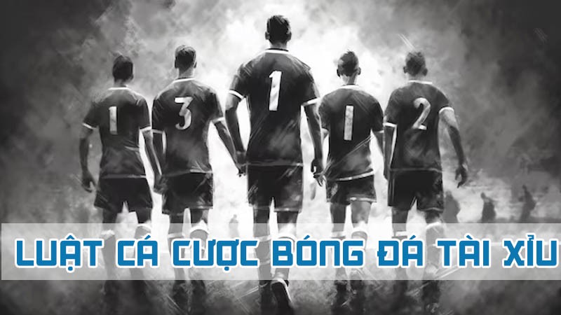 luật cá cược bóng đá tài xỉu 2024